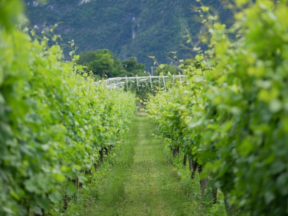 Agriturismo Casa Di Campagna Riva Zewnętrze zdjęcie