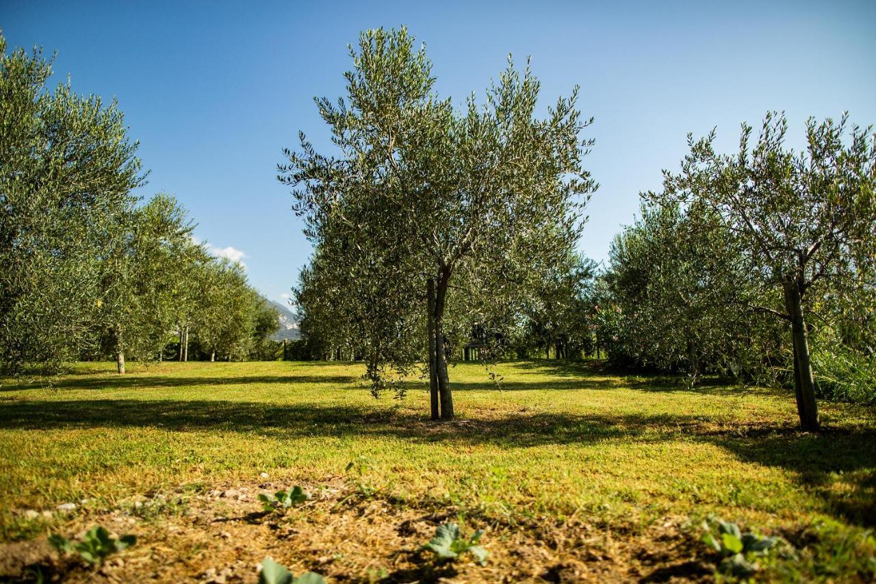 Agriturismo Casa Di Campagna Riva Zewnętrze zdjęcie