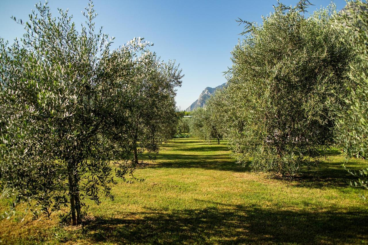 Agriturismo Casa Di Campagna Riva Zewnętrze zdjęcie